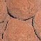 belgian pralines chocolate truffles