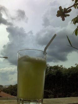 bitter lemon schweppes digestive