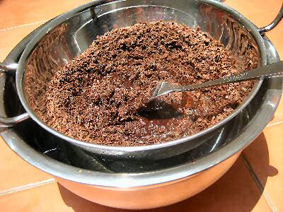 chocolate