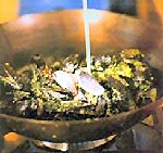 green lipped mussels creamy