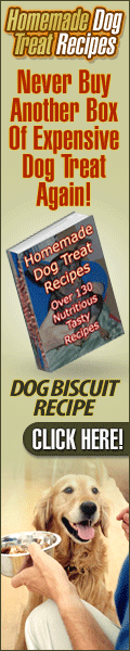 Healthy dog treat
