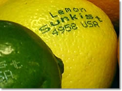 lemon juicer lemons